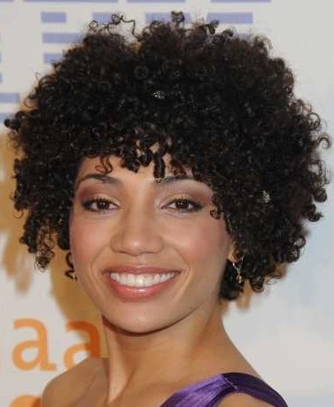 Short African American Hairstyles 2011