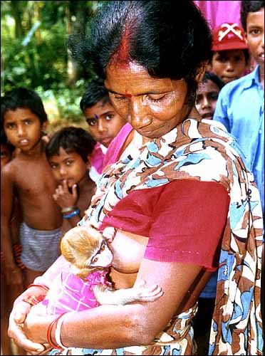 Woman Breastfeeding Monkey