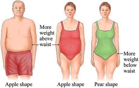 Women Body Shapes For Men