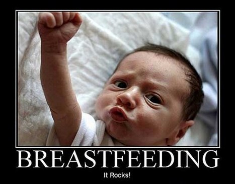 Women Breastfeeding Animals Videos Youtube