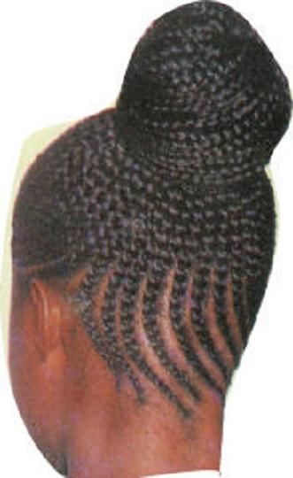 African Braids Hairstyles Pictures